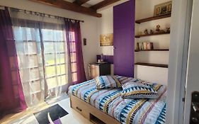 Maison Le Lézard chez Amalia et Fred